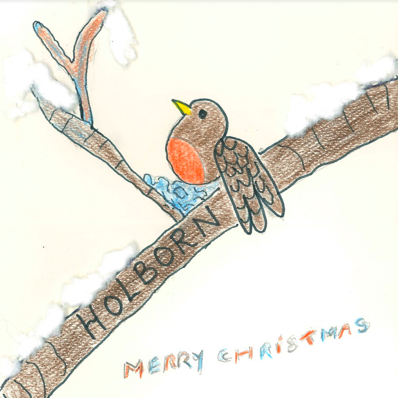 Robin HCA Christmas Cards