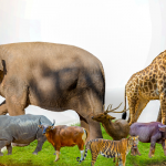 British Library, Animal Arts, Science and Sound Exhibition